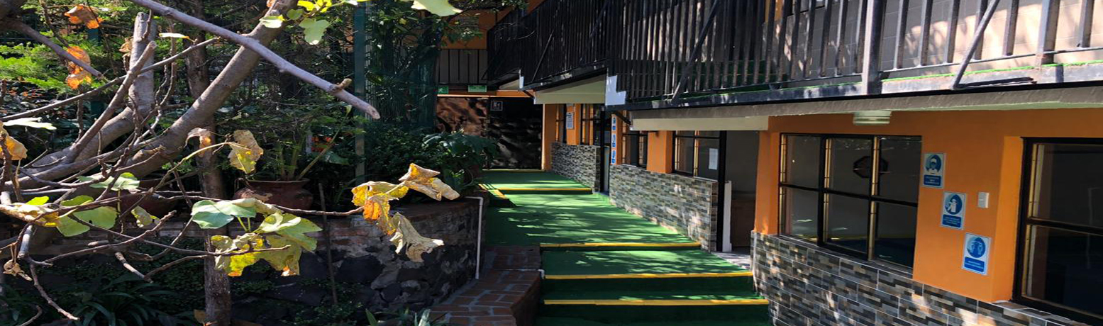Primaria Tekax patio